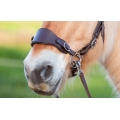 Edix Classic Noseband Edix Classic Noseband